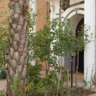 Riad Freija-Taroudant Hotel Exterior