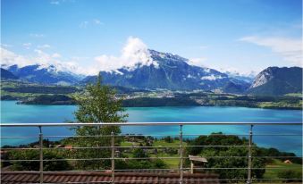 Chalet with Panoramic Views of the Mountains of the Oberland and Lake Thun