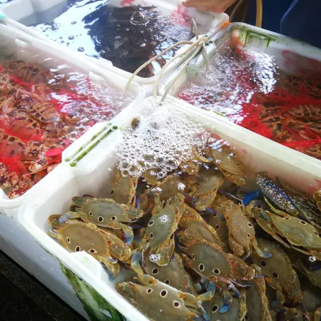 Ocean Holiday Apartment