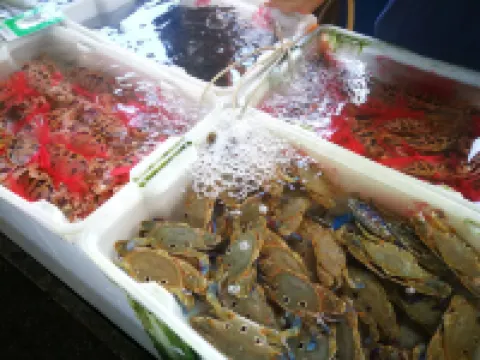 Ocean Holiday Apartment