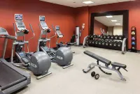 Hilton Garden Inn Dallas Lewisville - Gym