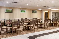 珍珠傑克遜機場最佳西方修爾住宿飯店