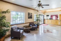 Econo Lodge Inn & Suites Corpus Christi - Parkplatz
