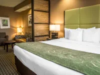 Comfort Suites New Bern Near Cherry Point Hotels in Craven County