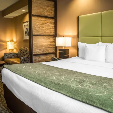 Comfort Suites New Bern Near Cherry Point