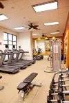 Embassy Suites by Hilton Charlotte Concord Golf Resort & Spa - Gym
