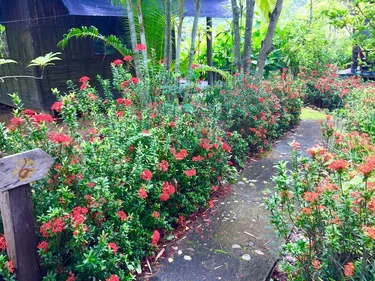 รูปภาพของBueng Pai Farm บึงปายฟาร์ม
