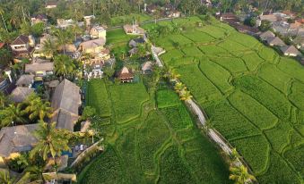 Wapa di Ume Ubud