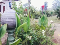 Wenasa Hotel