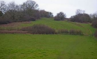 a green field with trees and bushes on the hillside , under a cloudy sky , and some power lines visible in the distance at The Foxham