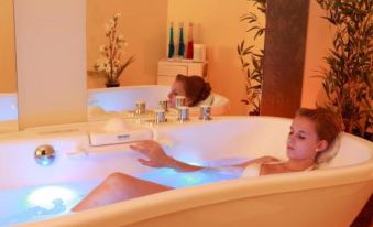 Logis Hotel-Restaurant Petry