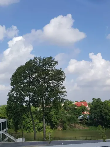 รูปภาพของโรงแรมริเวอร์เรสซิเดนซ์ สระบุรี