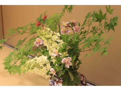 その他 三朝薬師の湯 万翆楼の写真