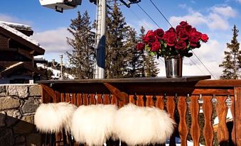 Odalys Hotel New Solarium