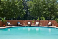 DoubleTree by Hilton Atlanta Perimeter Dunwoody - Pools