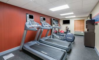 Hampton Inn & Suites by Hilton Florence Center