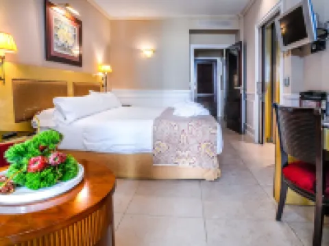 グラン ホテル グアダルピン バヌス マルベーリャのホテル