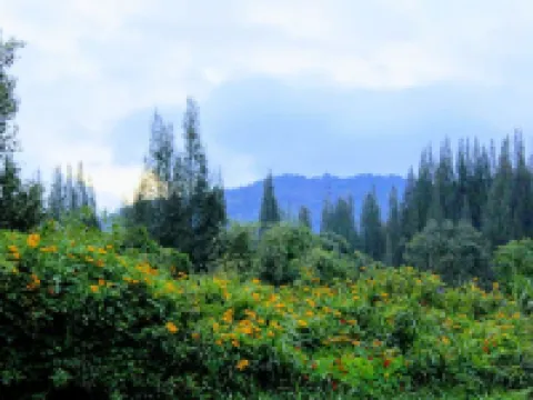 Villa Berastagi Highland Hotels in Berastagi