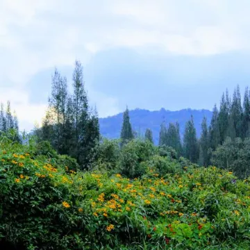 Villa Berastagi Highland