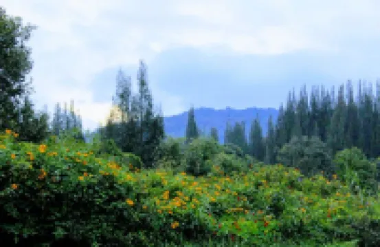 Villa Berastagi Highland