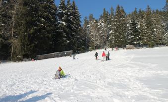 Land-Gut-Hotel Hohengasthof Adler