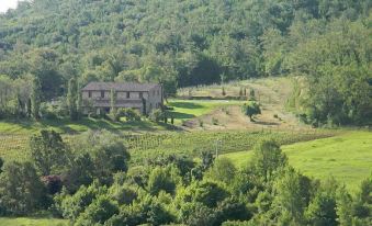 B&B - Podere Monti
