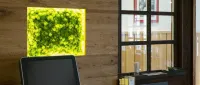 Hotel Schneider Hotels in Laubach