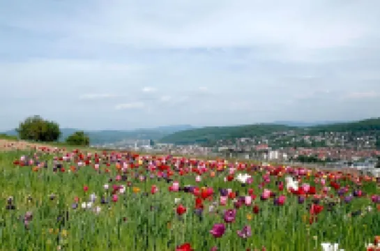 Restaurant-Hotel Maien