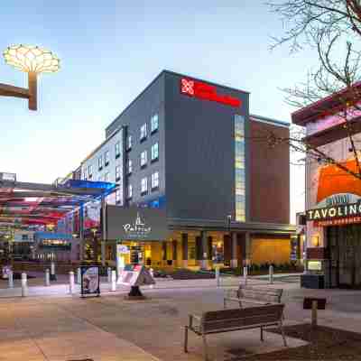 Hilton Garden Inn Foxborough Patriot Place Hotel Exterior