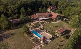 an aerial view of a large , two - story house surrounded by a well - maintained lawn and a swimming pool at Le Lion d'Or en Perigord