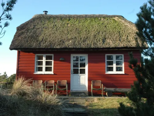 "Jon" - 400m from the Sea