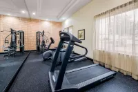 La Quinta Inn & Suites by Wyndham Marshall - Gym