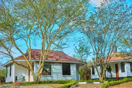 Ngorongoro Corridor Lodge