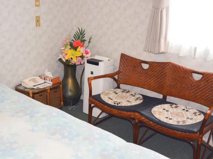 Hotel Cotton 100%