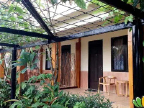Matoh Guesthouse Syariah Hotels in Bojonegoro Regency