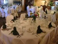 Flying Saddle Resort and Steak House Hotels in Alpine
