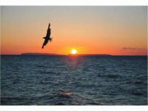 はぼろ温泉サンセットプラザ 羽幌町のホテル