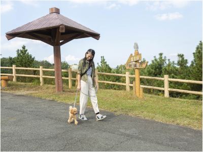 共有エリア ホテルラフォーレ修善寺の写真