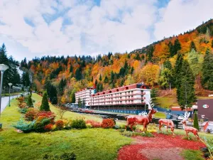 Sairme Hotels & Resorts