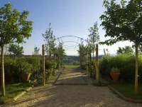 Relais Borgo Petrognano - Homestays