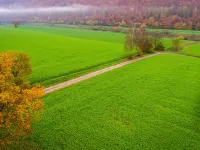 Haus am Fluss Hotels in Bodenfelde
