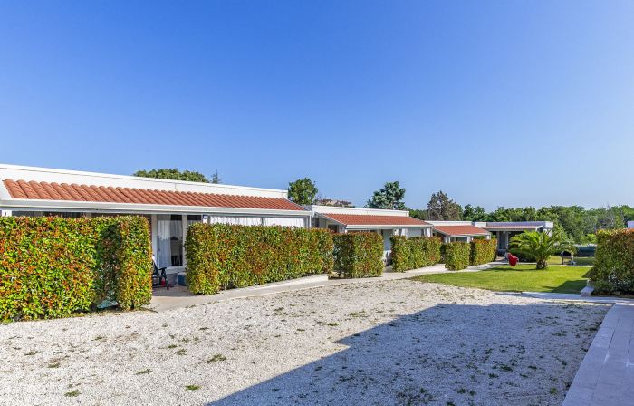 Mobile Home Luxury Premium