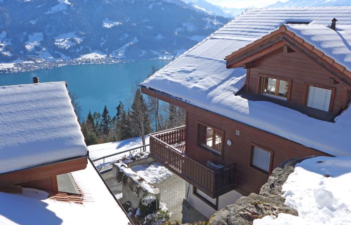 Berg-Seeblick