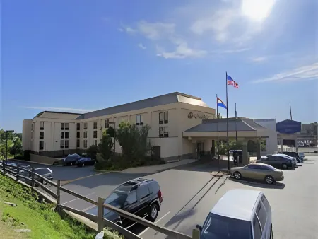 퀄리티 인 플로리전트 세인트루이스