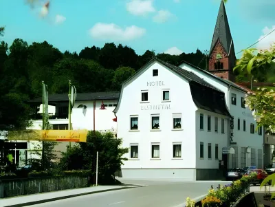 Hotel Elsenztal Hotels near Sinsheimer Wachter