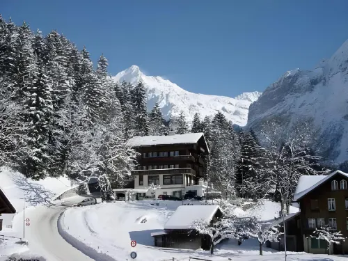 วัลด์ฮุส เบลลารี