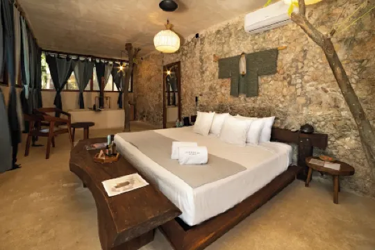 Japoneza Retreat Mérida Centro