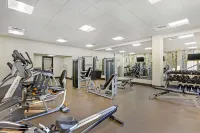 Best Western Plus GranTree Inn - Gym