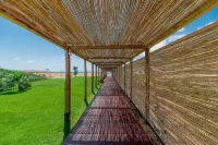 Aurhotel Hotels in Baia Domizia