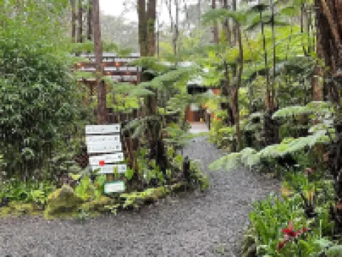 ボルケーノ ビレッジ ロッジ ボルケーノのホテル